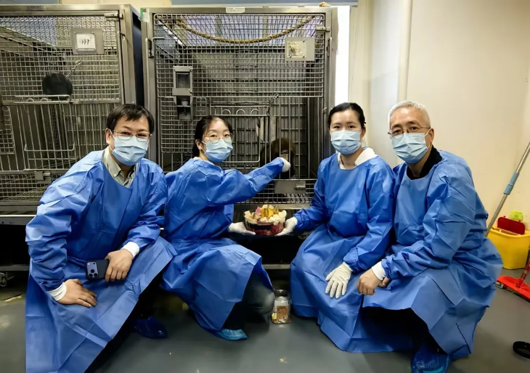 突破600天！宝济助力异种肾移植继续刷新亚洲纪录
